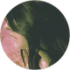 cansu daşkın profil fotoğrafı