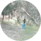 Ayça Acar 07 profil fotoğrafı