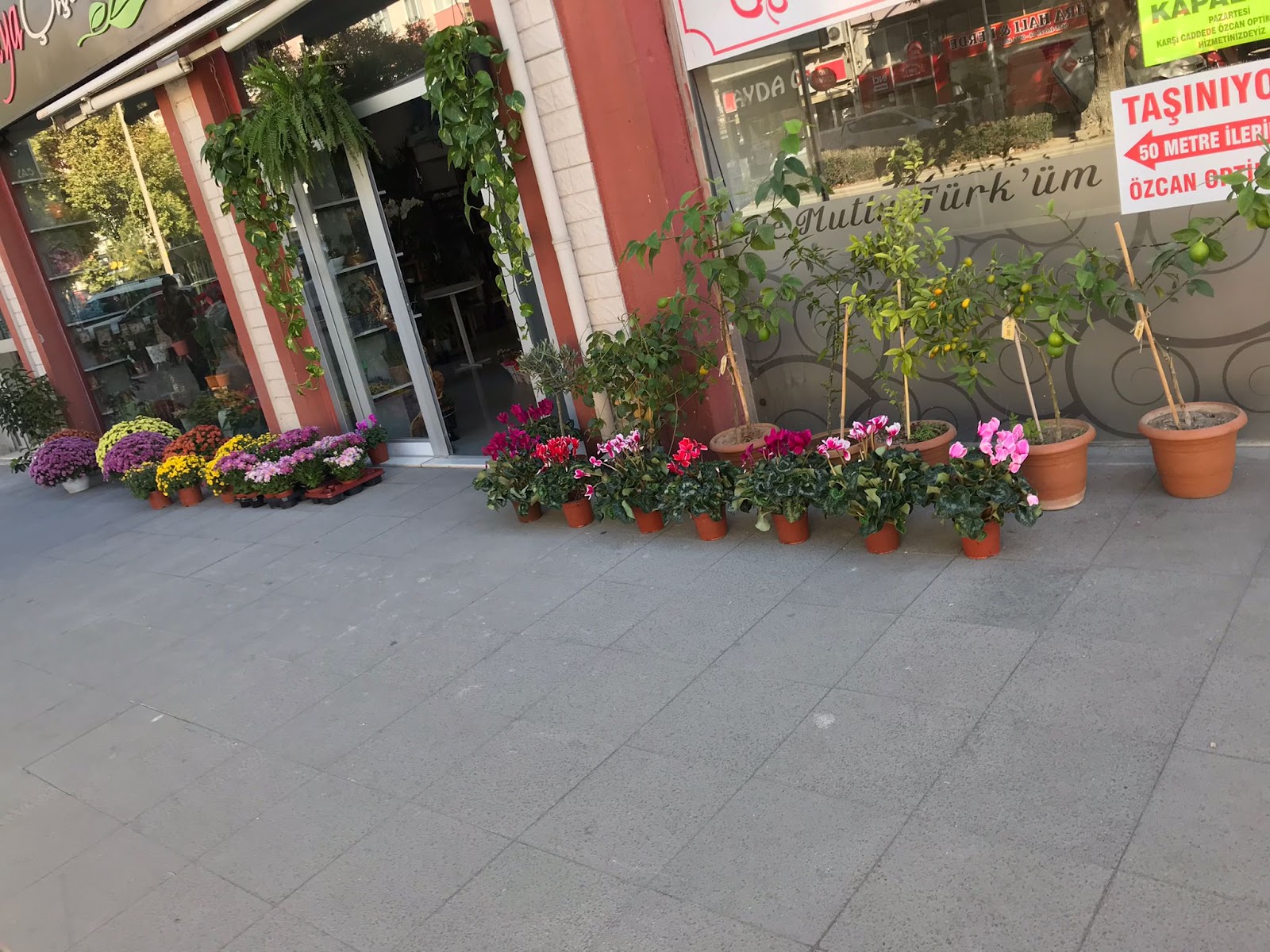 Burdur Çiçekçi Açelya Çiçek Burdur Çiçek Siparişi kır düğünü mekanı — Merkez