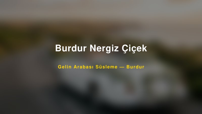 Burdur Nergiz Çiçek Gelin Arabası Süsleme Fiyatları